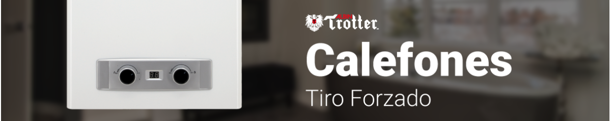 Calefones tiro forzado | Seguridad y potencia en cada ducha